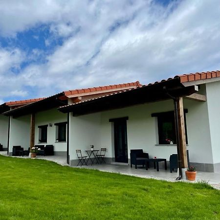 Apartamentos Los Manzanos Ribadesella Dış mekan fotoğraf